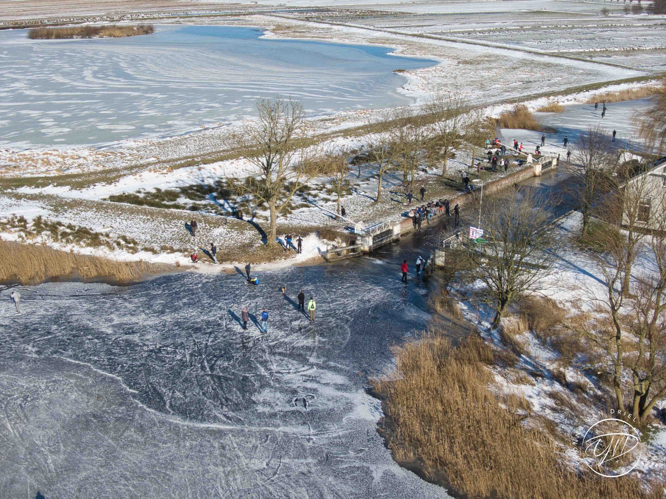 Fryske beeldmaker agrarisch